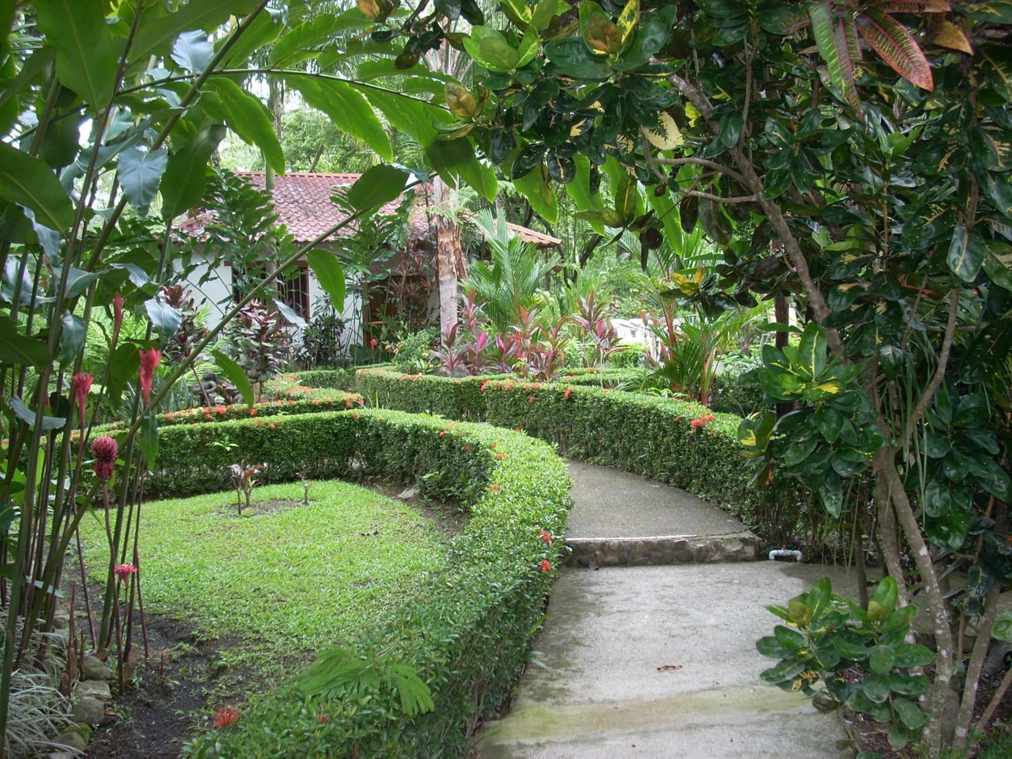 Hotel La Palapa Eco Lodge Resort Portalón Esterno foto