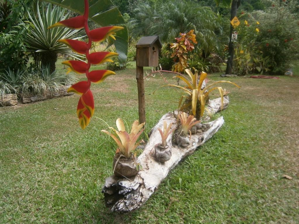 Hotel La Palapa Eco Lodge Resort Portalón Esterno foto