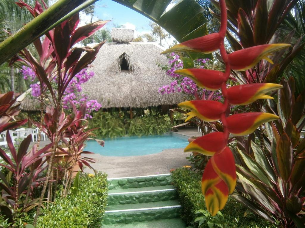 Hotel La Palapa Eco Lodge Resort Portalón Esterno foto