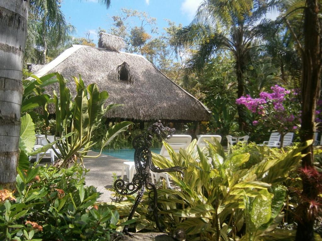 Hotel La Palapa Eco Lodge Resort Portalón Esterno foto