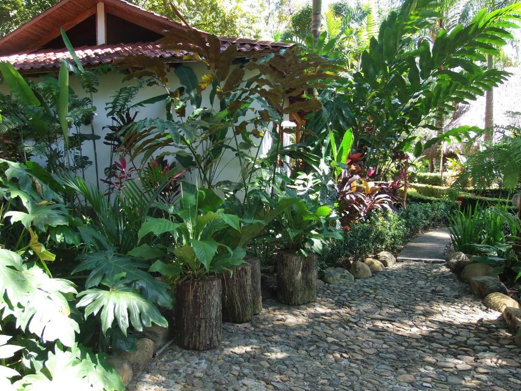 Hotel La Palapa Eco Lodge Resort Portalón Esterno foto